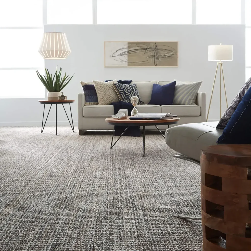 Textured gray Anderson Tuftex Sundance carpet in a modern living room