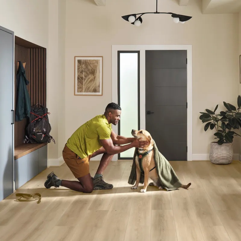 Dog resting on durable home flooring