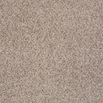 Shaw Floors Anso Colorwall Gold Texture Accents Art District carpet