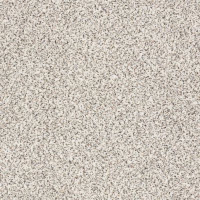 Shaw Floors Anso Colorwall Gold Texture Accents Artifact carpet