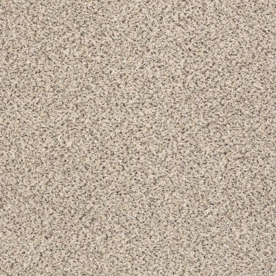 Shaw Floors Anso Colorwall Gold Texture Accents Bistro carpet